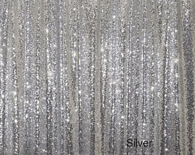Photo Booth Silver Sequin